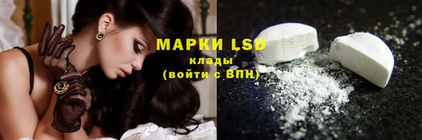 гашик Новодвинск