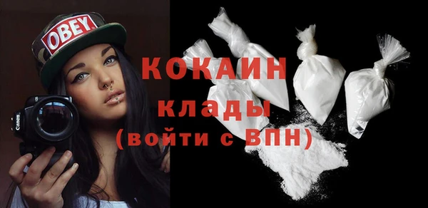 гашик Новозыбков
