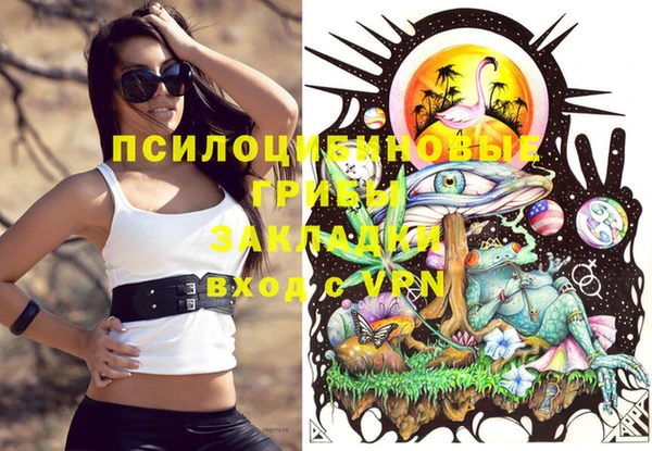 гашик Новодвинск