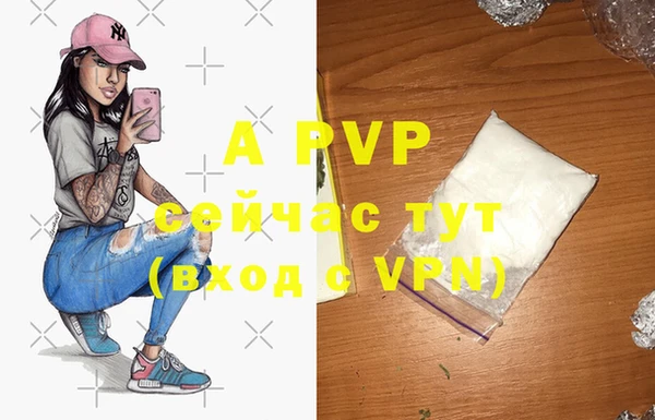 гашик Новозыбков