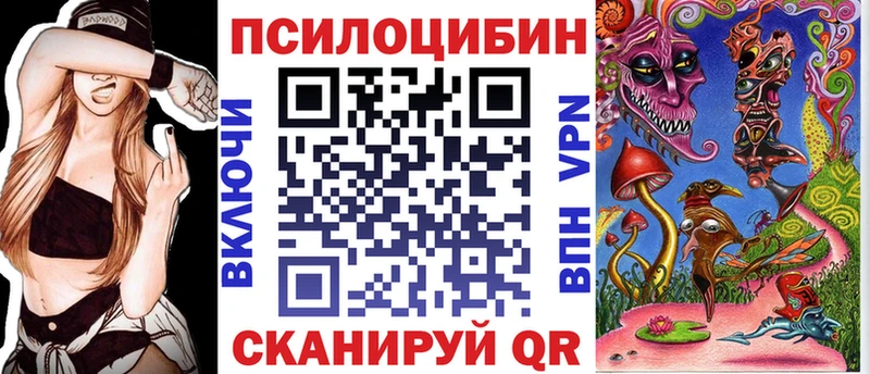 купить Светогорск Псилоцибиновые грибы Cubensis